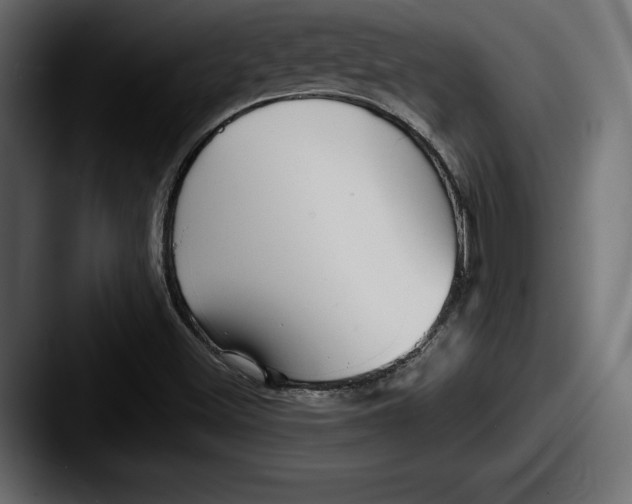 X0000087511500200705180945