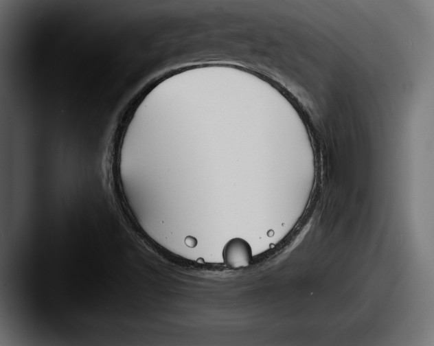 X0000087511502200705180945