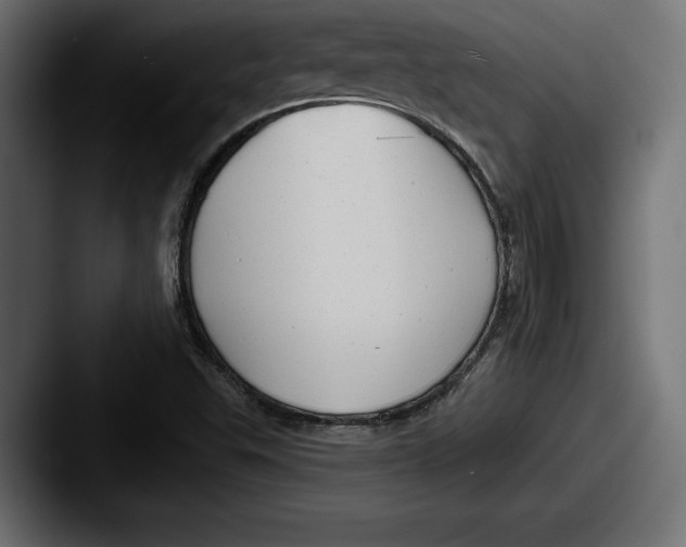 X0000087511503200705180945