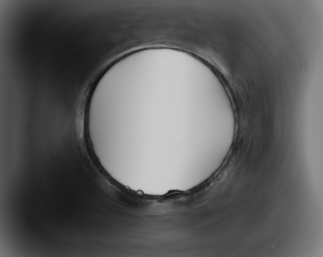 X0000087511504200705180945
