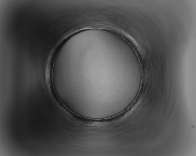 X0000087511506200705180945