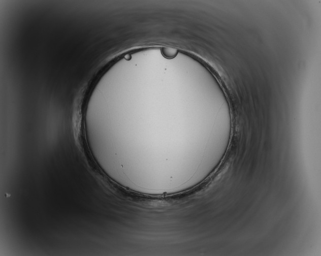X0000087511507200705180945