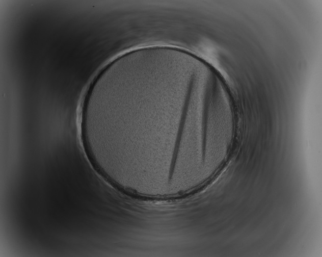 X0000087511508200705180945