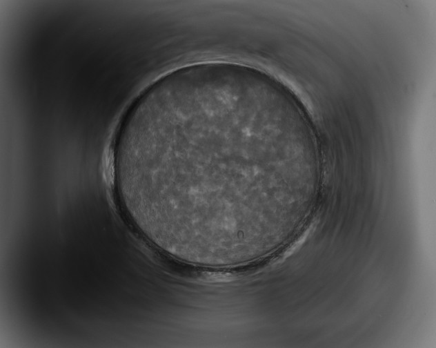 X0000087511509200705180945