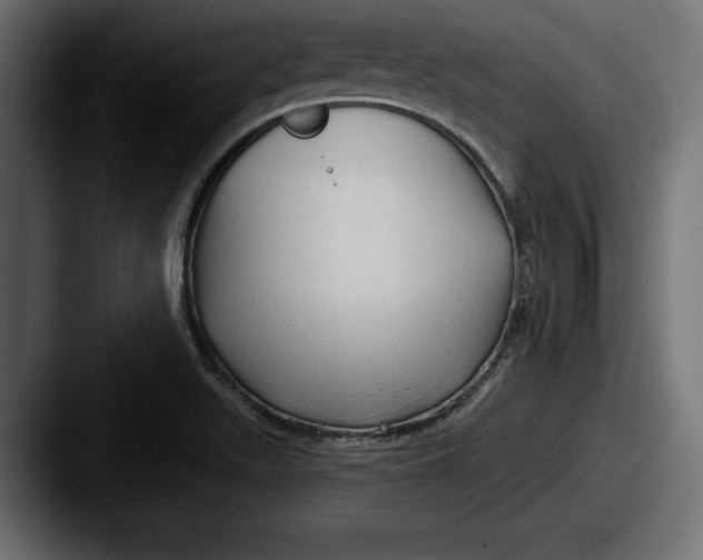 X0000087511511200705180945