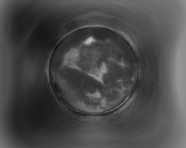X0000087511513200705180945