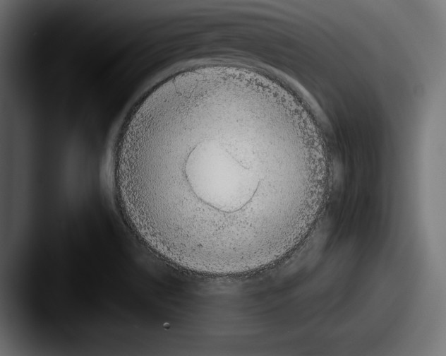 X0000087511514200705180945