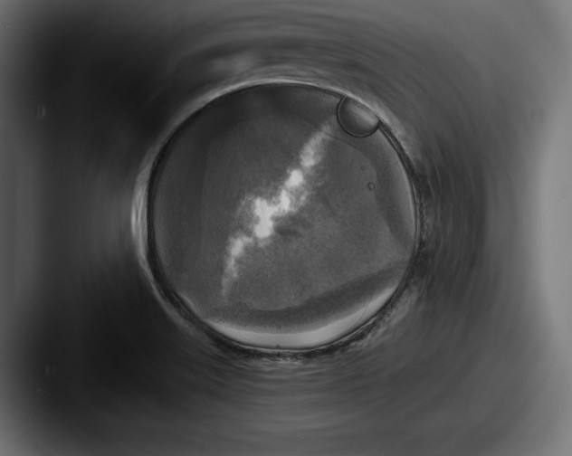 X0000087511515200705180945
