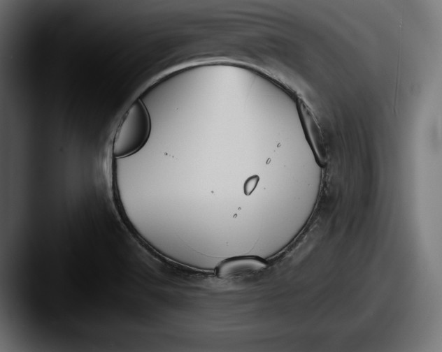 X0000087511516200705180945