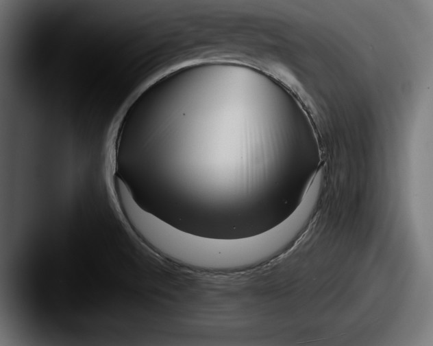 X0000087511520200705180945
