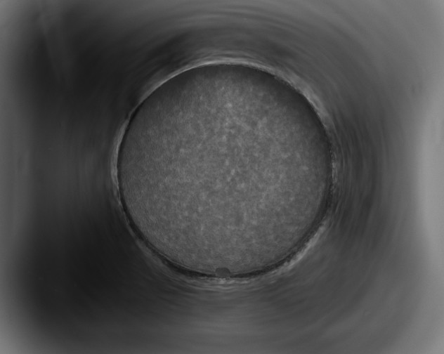 X0000087511521200705180945