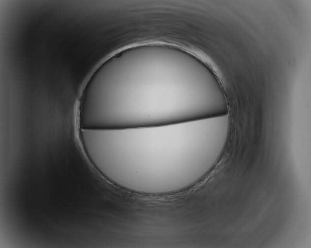 X0000087511524200705180945