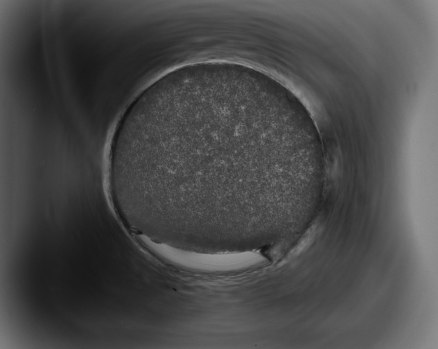 X0000087511525200705180945