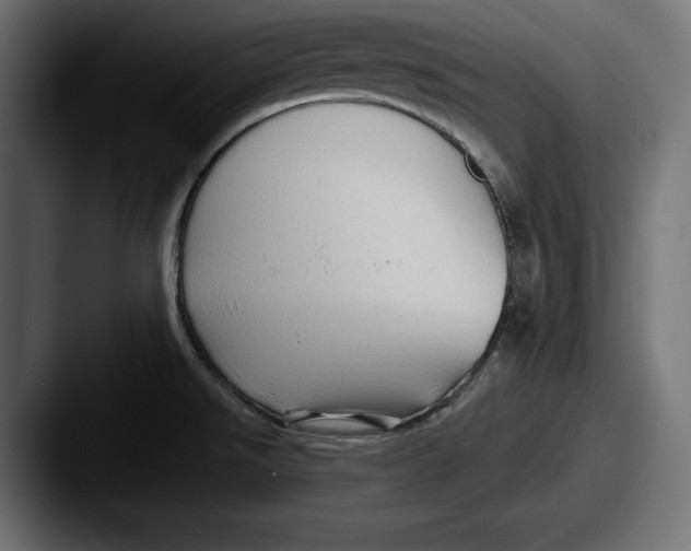 X0000087511526200705180945