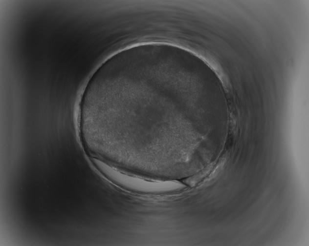 X0000087511527200705180945