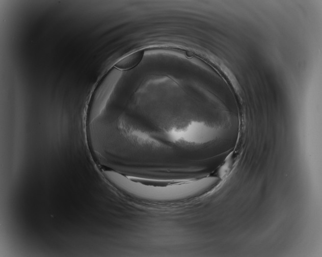 X0000087511529200705180945