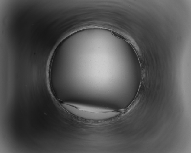 X0000087511530200705180945