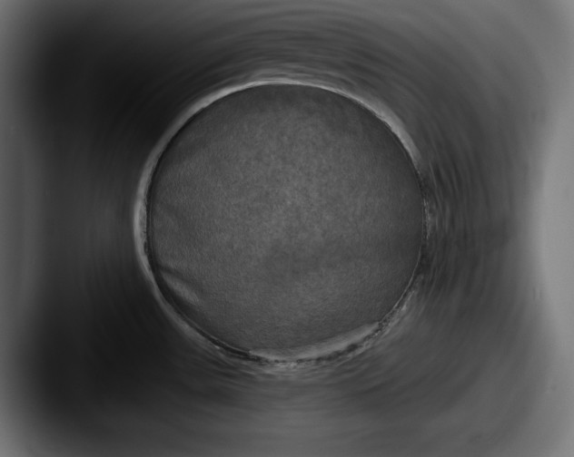X0000087511531200705180945