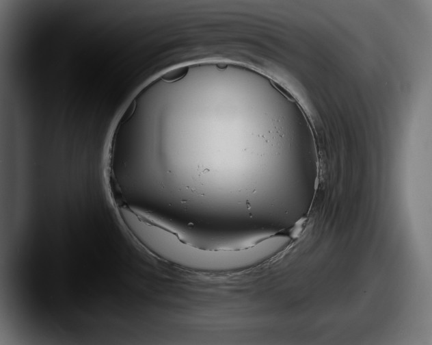 X0000087511532200705180945