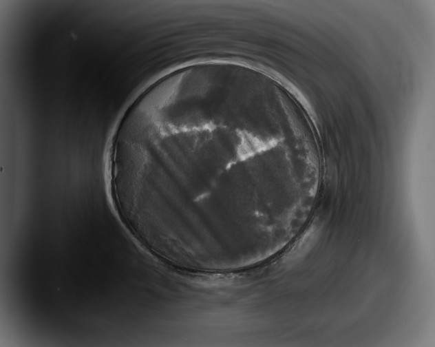X0000087511533200705180945