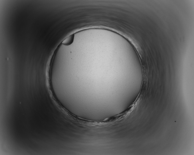 X0000087511534200705180945