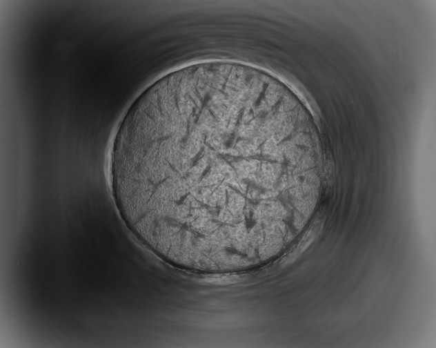 X0000087511535200705180945
