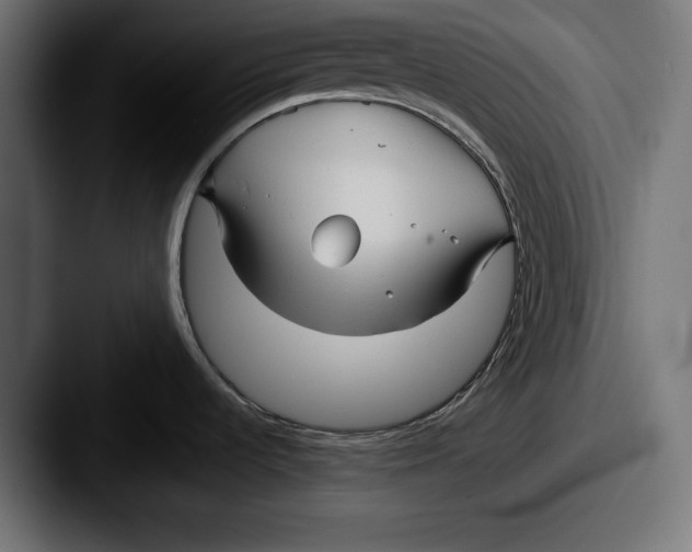 X0000087511536200705180945