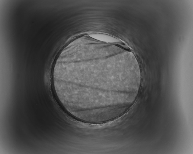 X0000087510002200705251628