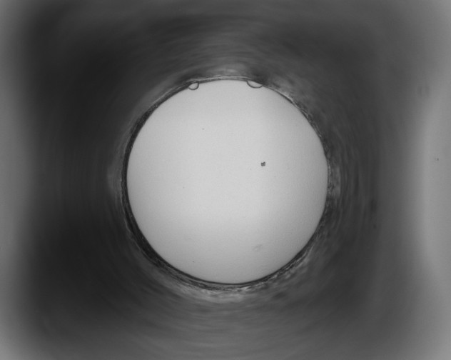 X0000087510004200705251628