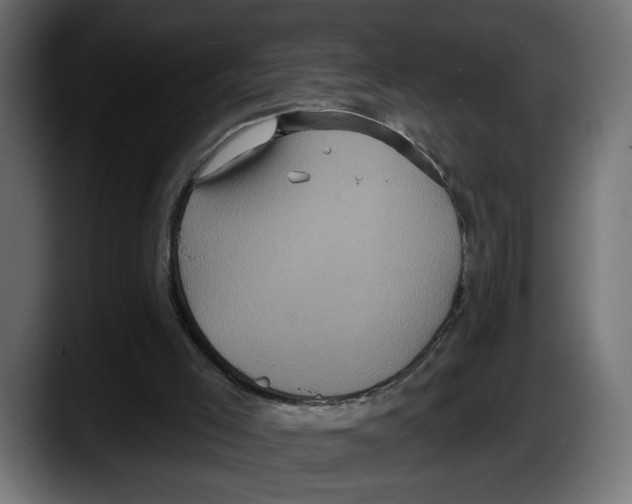 X0000087510005200705251628