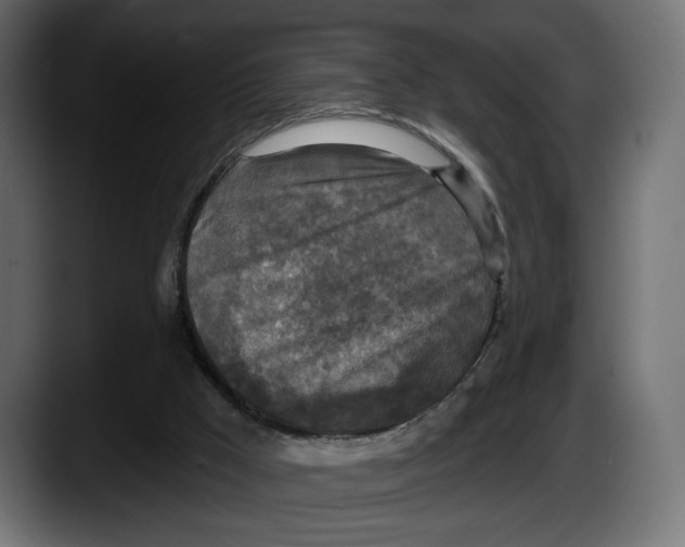 X0000087510009200705251628