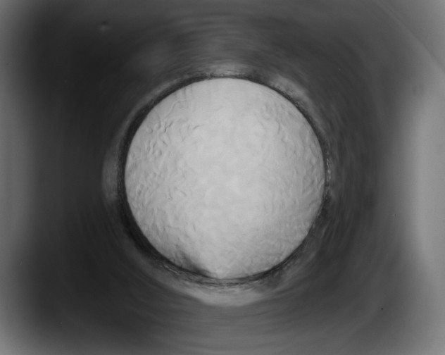 X0000087510012200705251628