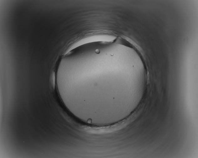 X0000087510013200705251628