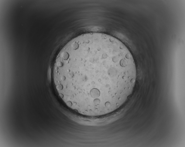 X0000087510014200705251628