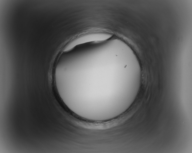 X0000087510015200705251628