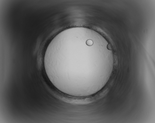 X0000087510016200705251628