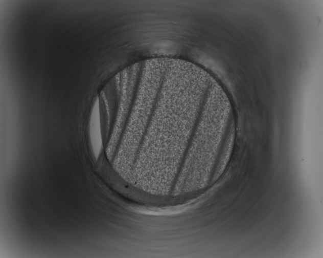 X0000087510017200705251628