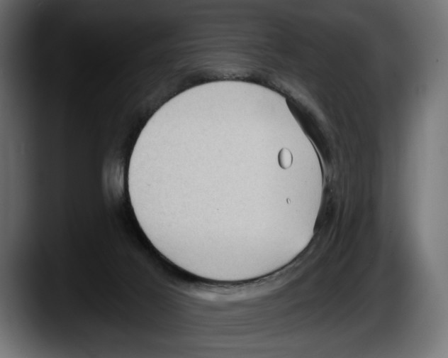 X0000087510021200705251628