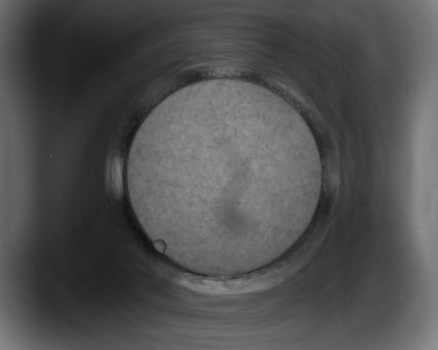 X0000087510022200705251628