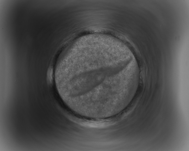 X0000087510024200705251628