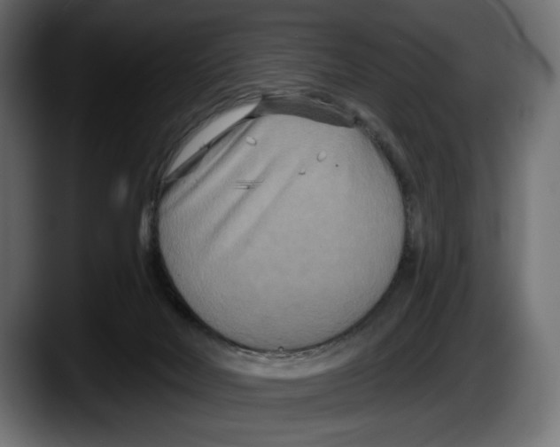 X0000087510026200705251628