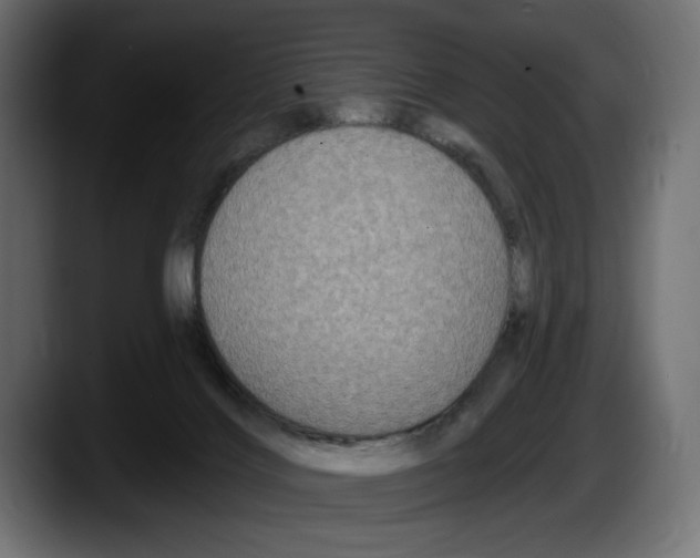 X0000087510028200705251628