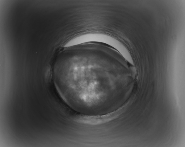 X0000087510029200705251628