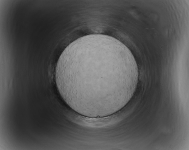 X0000087510030200705251628