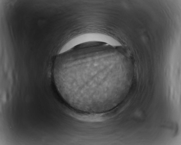 X0000087510032200705251628