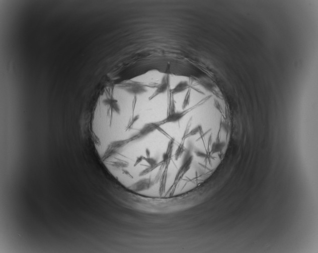 X0000087510034200705251628