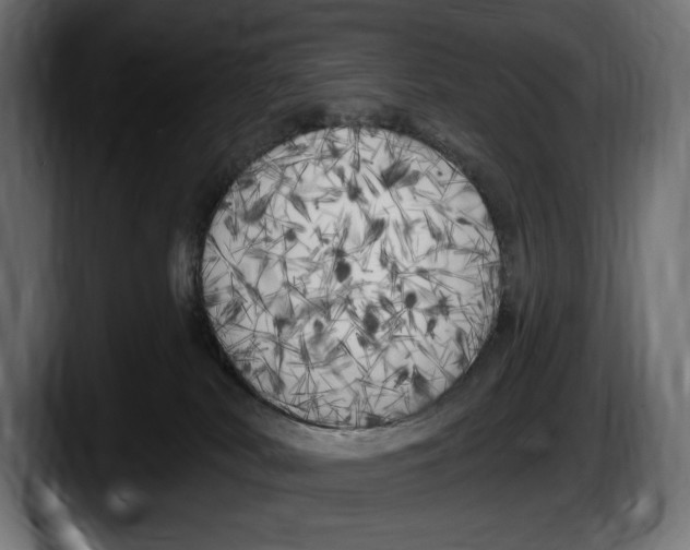 X0000087510038200705251628