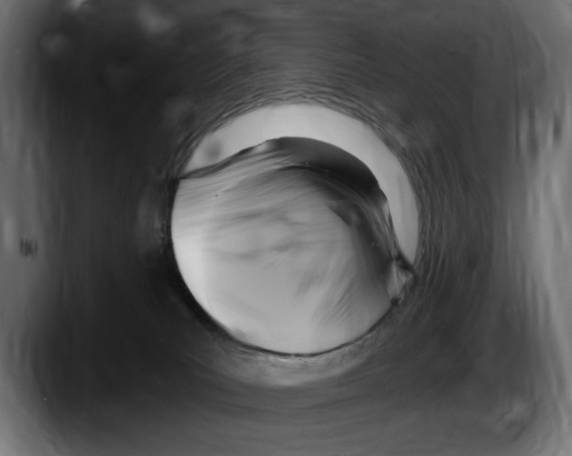 X0000087510039200705251628