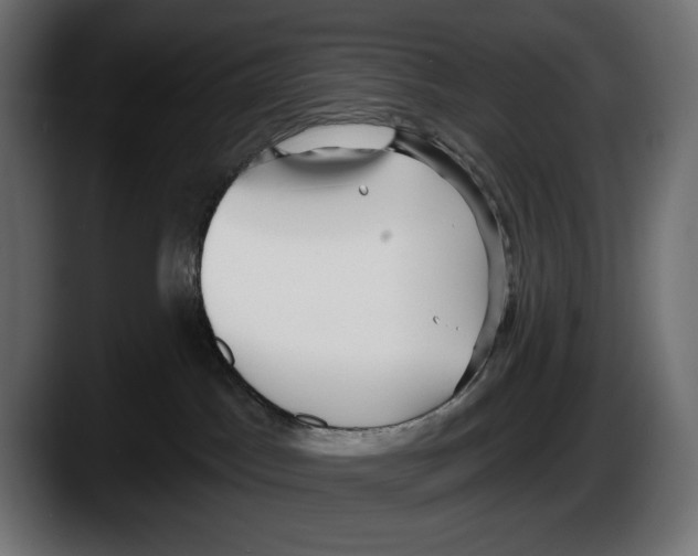 X0000087510045200705251628