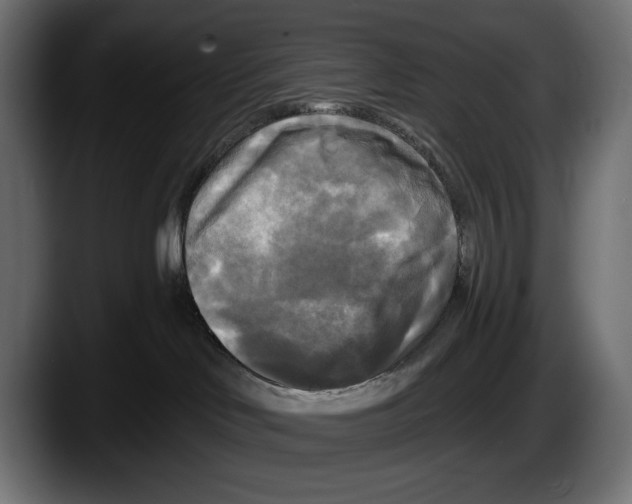 X0000087510046200705251628